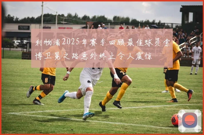 利物浦2025年赛季回顾最佳球员索博卫冕之路意外终止令人震惊