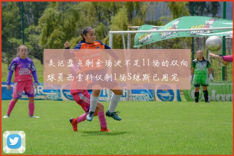 美记盘点剩余场次不足11场的双向球员西索科仅剩1场S琼斯已用完