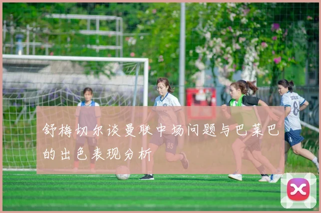 舒梅切尔谈曼联中场问题与巴莱巴的出色表现分析