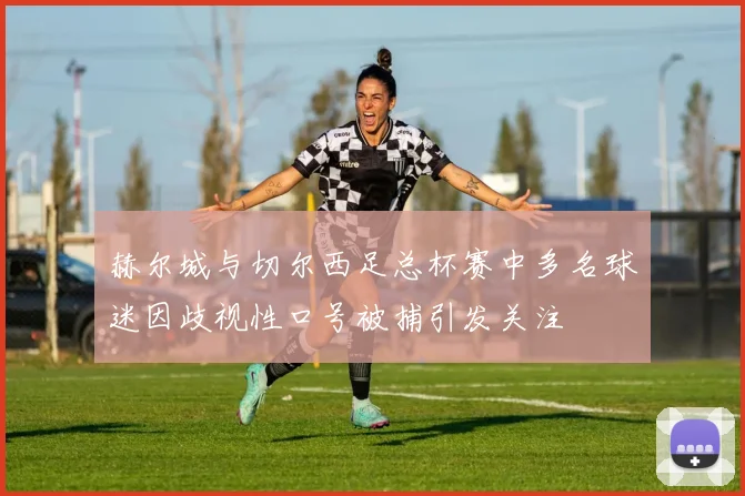 赫尔城与切尔西足总杯赛中多名球迷因歧视性口号被捕引发关注